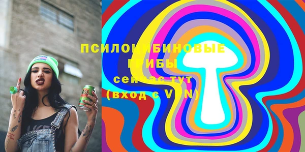 спиды Алзамай